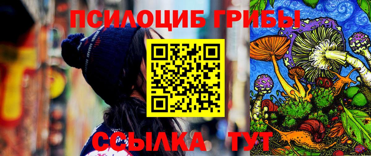 Иваново  как найти наркотики  Псилоцибиновые грибы мицелий  Вход с VPN  Галлюциногенные грибы Cubensis 