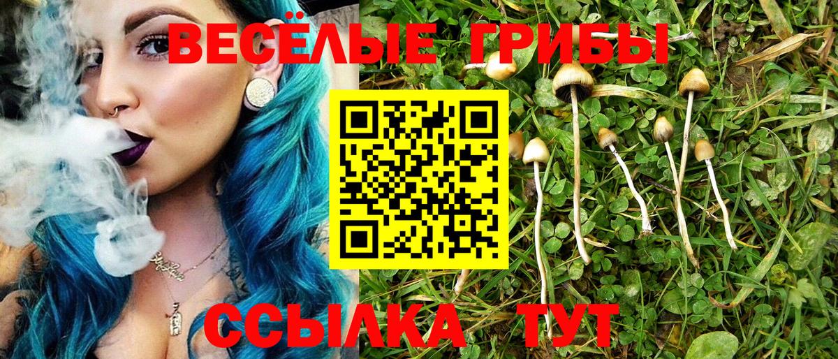 Псилоцибиновые грибы MAGIC MUSHROOMS Иваново